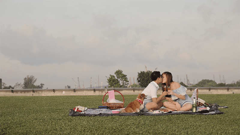 couple kissing picnic with dog