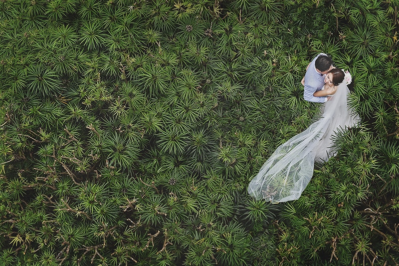 wedding couple plants