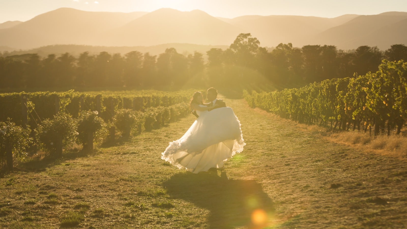 wedding photoshoot ideas